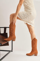 Germaine Tan Suede Embroidered Cowboy Boots